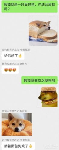 面包狗表情包(面包狗图片)插图29