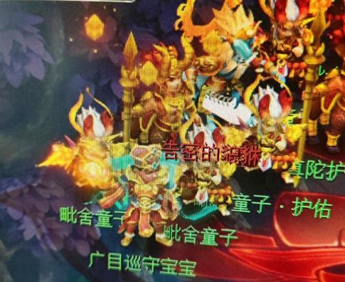 梦幻西游手游变异娃娃(梦幻最强变异宠物)插图1
