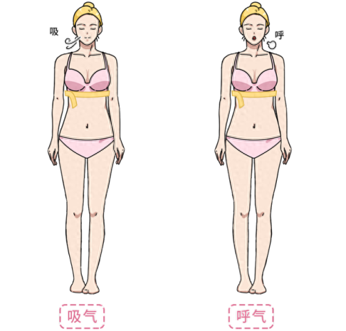 胸围尺寸(最佳三围尺寸)插图7