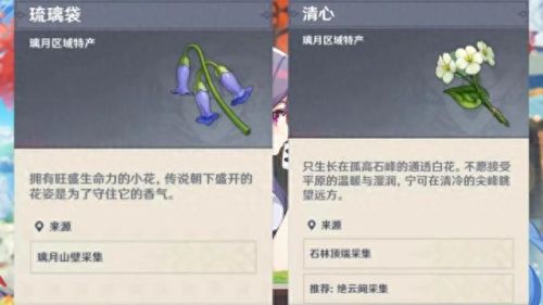 石珀采集位置(石珀采集路线)插图2
