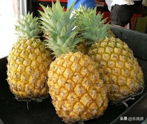 黑魂3秒杀boss技能(黑魂3全boss法术)插图3
