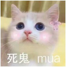 lol伊芙琳最挺拔的雏菊(英雄联盟幸运女神乐芙兰)插图2