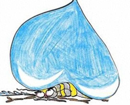 为什么下雨不会把蚊子砸死(蚊子为啥不会被雨滴砸死)