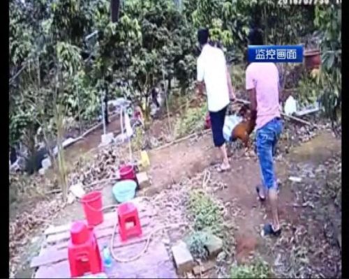 偷鸡小分队(蛋仔偷鸡小分队)插图3 偷鸡小分队(蛋仔偷鸡小分队)插图3