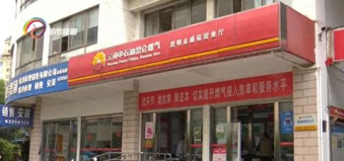天然气收费软件(交燃气费下什么软件)插图1