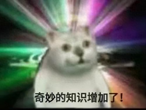 为什么苍蝇一停下来就会搓手(苍蝇为什么停下来会搓手)插图4