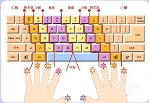 3l打字训练(如何训练24键打字)插图