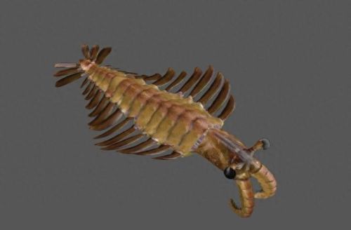 王者荣耀远古生物介绍(王者荣耀远古生物任务完成)插图