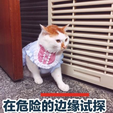 密室逃脱攻略(大爷玩密室逃脱)