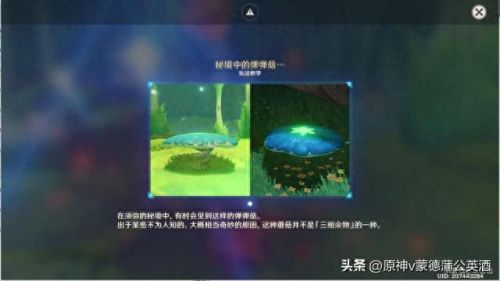调查走廊深处的庭院(原神调查走廊深处的庭院)插图8