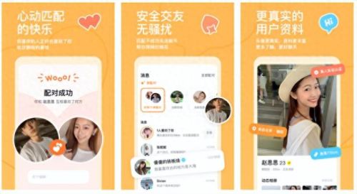 不收费的交友软件有哪些(目前不收费的聊天交友免费软件)插图2