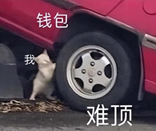 迅雷免费会员(迅雷会员试用一天)插图