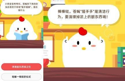 为什么苍蝇一停下来就喜欢搓手(苍蝇为啥喜欢搓手)