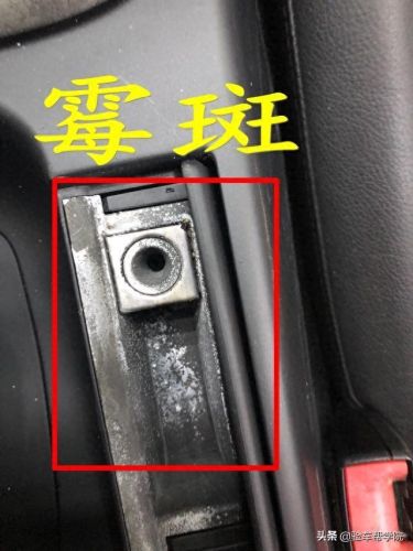 阿飞解码器(华强北阿飞靠谱吗)