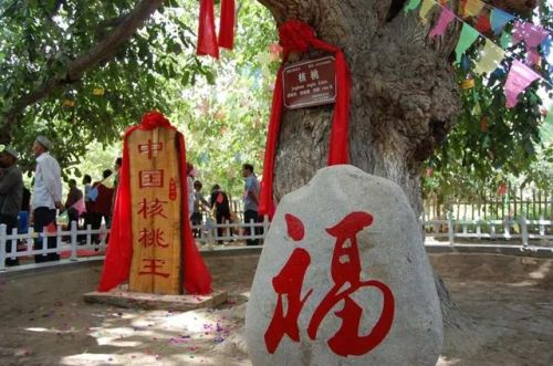 侠盗飞车6狂野之城(侠盗飞车狂野之城和罪恶都市的区别)插图34