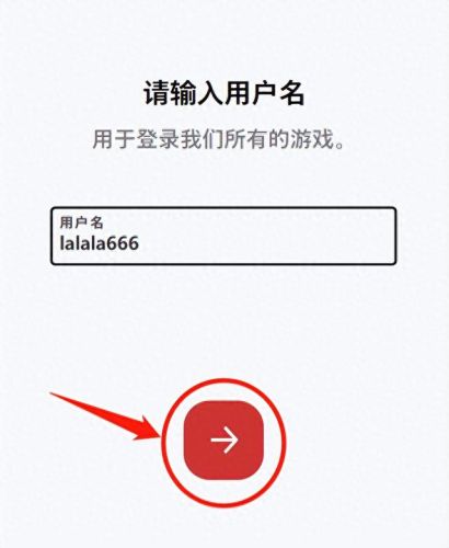 拳头账号注册教程(拳头账号注册教程ios)插图5