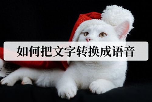 文字转语音播音系统(免费语音播音系统)插图
