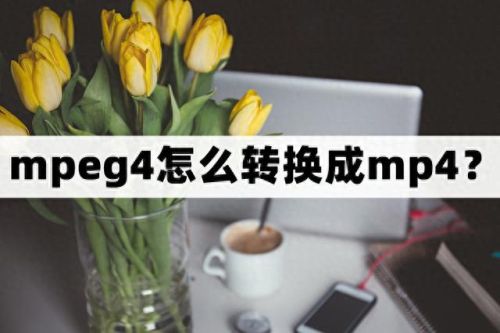 mpeg4转换器(怎么播放mpeg4)插图