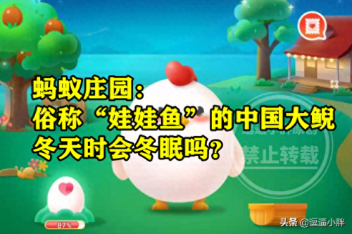 娃娃鱼会冬眠吗(大鲵)插图3