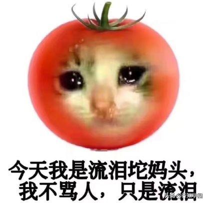 王子様(王子样)插图3