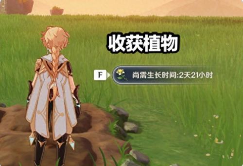 原神怎么种花(原神种花能获得什么)插图4