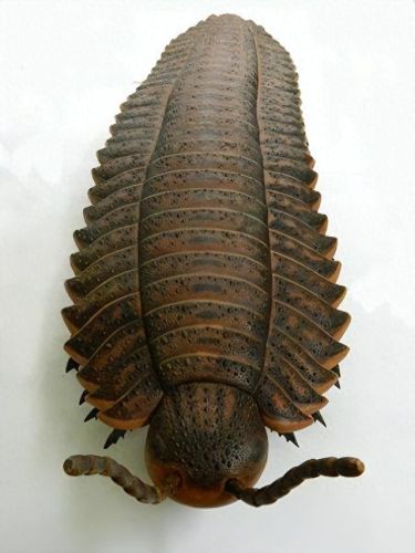 王者荣耀远古生物介绍(王者荣耀远古生物任务完成)插图3