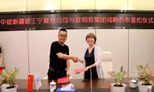 网络神采(神采科技有限公司)