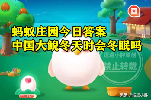 娃娃鱼会冬眠吗(大鲵)插图1