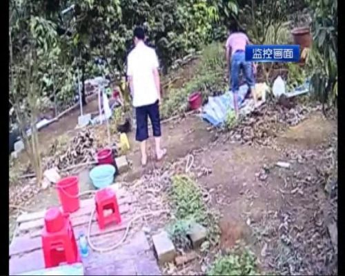 偷鸡小分队(蛋仔偷鸡小分队)插图1 偷鸡小分队(蛋仔偷鸡小分队)插图1