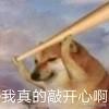 车轮查违章(车轮违章查询)插图1