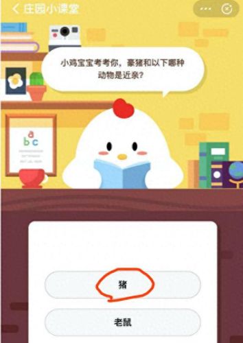 豪猪和什么动物是近亲(豪猪被蟒蛇生吞)