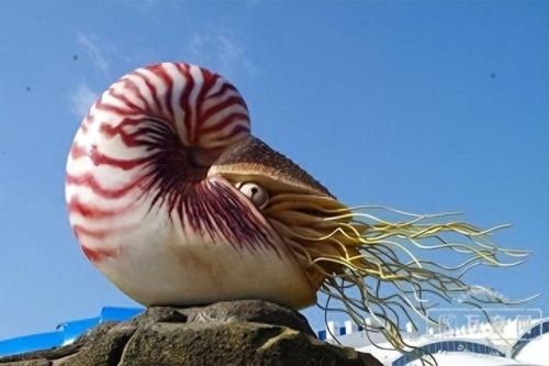 王者荣耀远古生物介绍(王者荣耀远古生物任务完成)插图1