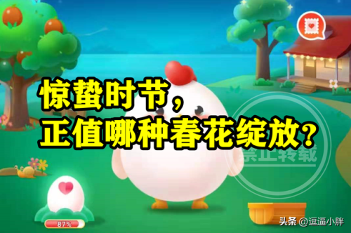 蚂蚁庄园种麦田(蚂蚁庄园没有种麦子)插图