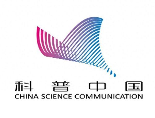 为什么买到的腰果没有壳(炭烧腰果为什么便宜)