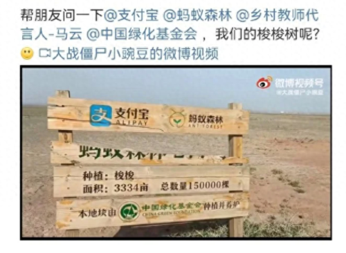 2019年9月蚂蚁森林获(蚂蚁森林第一名)插图