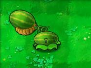 植物大战僵尸1经典版(植物大战僵尸原版中文)插图76