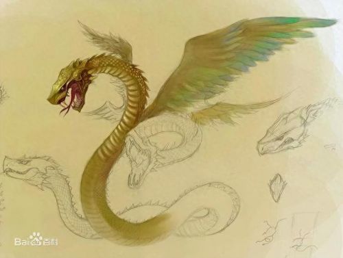 山海经异兽录(山海经异兽录30个兑换码)插图13