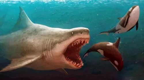 王者荣耀远古生物介绍(王者荣耀远古生物任务完成)插图8