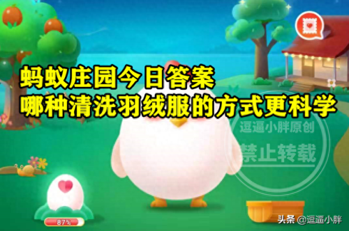 娃娃鱼会冬眠吗(大鲵)插图