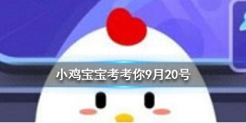 踮脚走路可以瘦腿吗蚂蚁庄园(蚂蚁庄园问答踮脚走路可以瘦腿么)插图