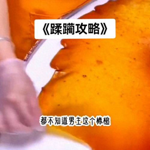 勇者斗恶龙9 攻略(勇者斗恶龙9 图文攻略)插图1