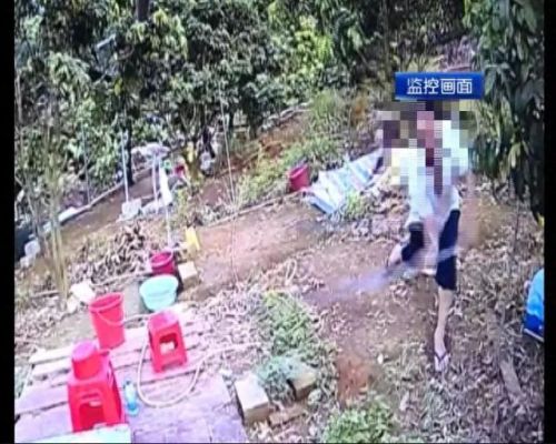 偷鸡小分队(蛋仔偷鸡小分队)插图2 偷鸡小分队(蛋仔偷鸡小分队)插图2