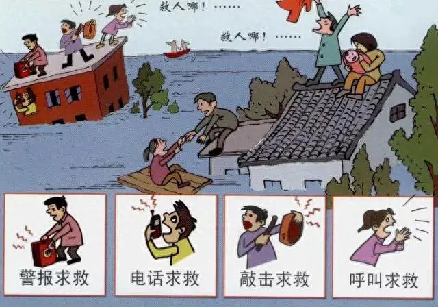 公交车涉水蚂蚁庄园(蚂蚁庄园今日答案)插图4