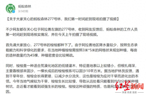 2019年9月蚂蚁森林获(蚂蚁森林第一名)插图6