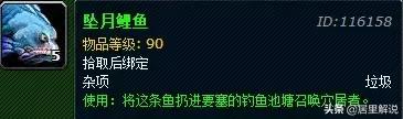 神秘骆驼刻像(神秘骆驼)插图23