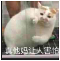 lol伊芙琳最挺拔的雏菊(英雄联盟幸运女神乐芙兰)插图6