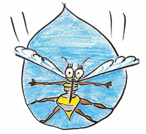 为什么下雨不会把蚊子砸死(蚊子为啥不会被雨滴砸死)插图2