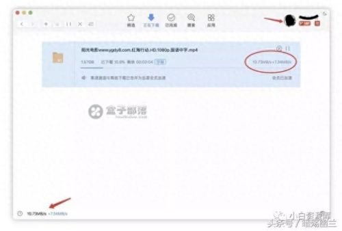 迅雷离线破解(迅雷2023永久激活码)
