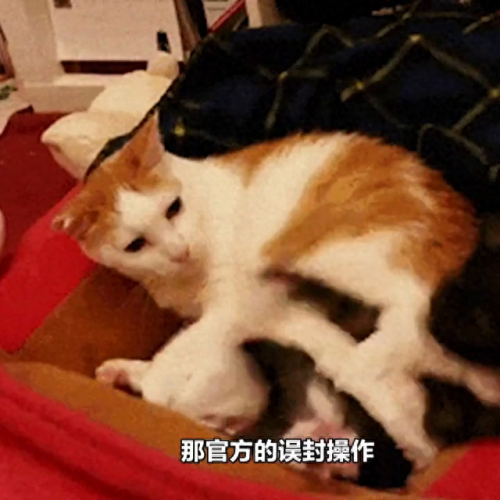 qq三国跑行脚(qq三国全服第一土豪)插图4