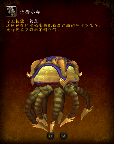 侏儒坐骑在哪买(侏儒坐骑哪里买)插图24